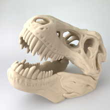 Load image into Gallery viewer, PLA Mineral