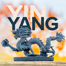 Load image into Gallery viewer, Panchroma Dual Special PLA
